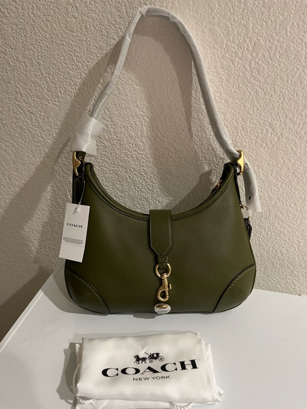 Coach Hamptons HoBo Bag in Brass/Olive Glovetanned Leather NWT